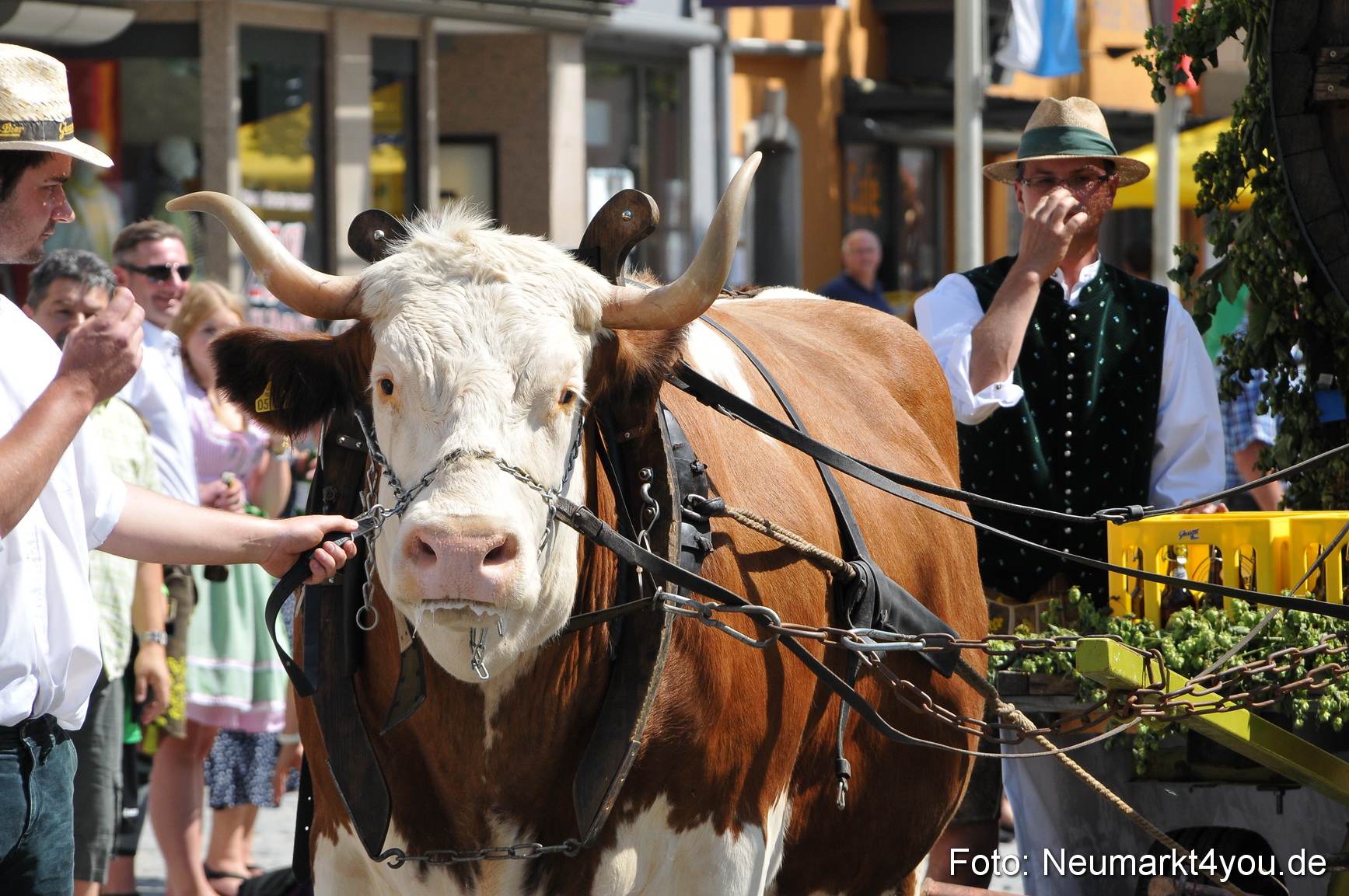 Volksfest Neumarkt 100814 0219